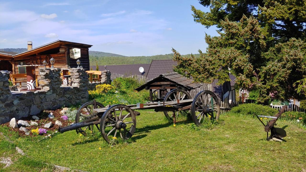 Pod Hradom Restaurant & Pension Topoľčany エクステリア 写真