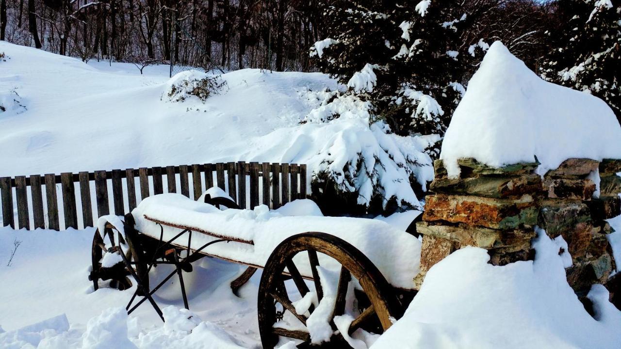 Pod Hradom Restaurant & Pension Topoľčany エクステリア 写真