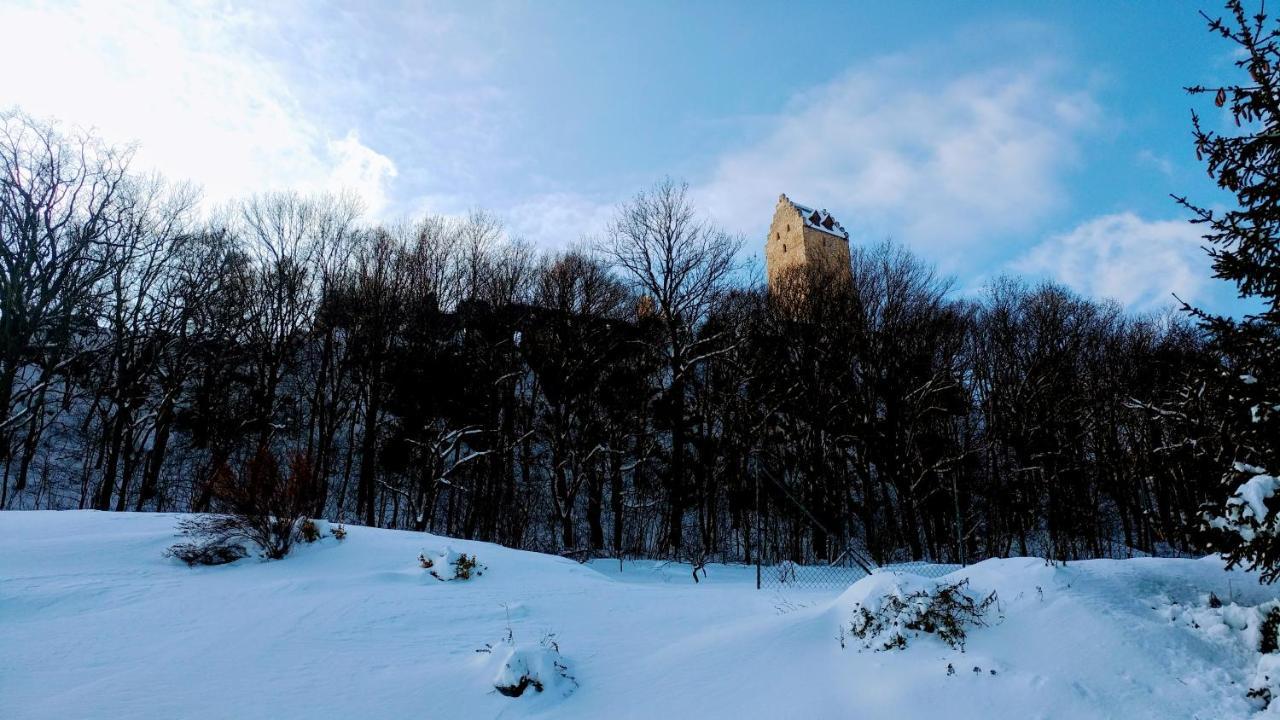 Pod Hradom Restaurant & Pension Topoľčany エクステリア 写真